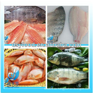 GEFROREN SCHWARZ TILAPIA / ROT TILAPIA FISCHE GANZ RUND